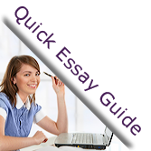 Essay Experts