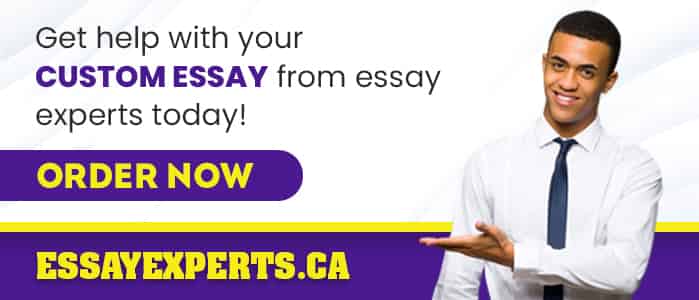 custom essays writer Canada
