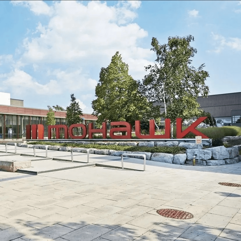 Mohawk College Nursing Essay Writing Services Help