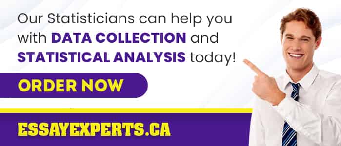 Statistics and Thesis Writing Service